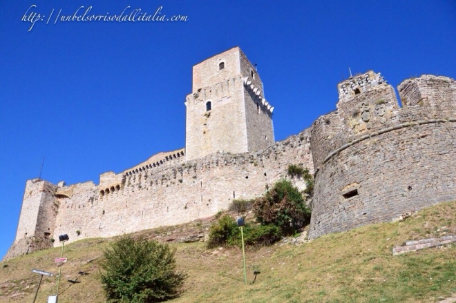 Assisi6